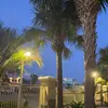 hi - @katie.kopp - TikTok