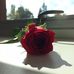 Katie Lantz - Facebook