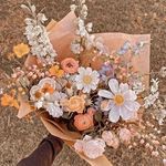 Katie Lashley - @flyinghigh903903 - Instagram