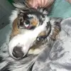 _katie - @katie_leblanc - TikTok