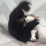 Katie Lemmon - @katie_lemmon32 - Instagram
