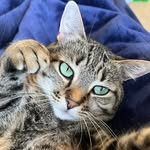 Katie Lerner - @little_lerners_learn - Instagram