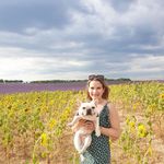 Katie Levine - @wine.levine - Instagram