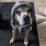 Katie Lindeman - @katieslindeman - Instagram