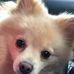 Kathy Littlejohn - Facebook