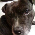 katie litton-hayes - @katie_litton_hayes - Instagram