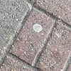 katie_lorimer - @katie_lorimer - TikTok