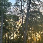 Katie Lowder - @wheredidyouseegodtoday - Instagram