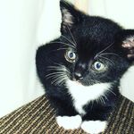katie lundy - @lenny__katie34 - Instagram