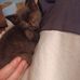 Katie Mace - Facebook