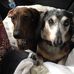 Kate Mackey - Facebook