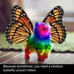 katie  mayhew - @katiemayhew15 - Instagram