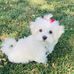 Katie McLemore - Facebook