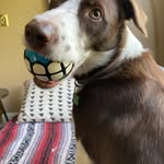 Kate McPhillips Wells - @katemcphillipswells - Instagram