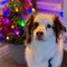 Katie McPhillips - Facebook