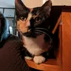 akhtaana92 - @katiemeece - TikTok