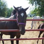 Kathy Mentzer - Facebook