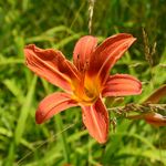 Katie Messing - @kmessingphoto - Instagram