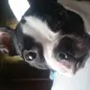 lexie - @katiemickelson - TikTok