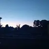 Katie Miney - @katie.miney8 - TikTok