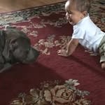 Katie Miranda - @proudparents2brax - Instagram