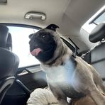 Katie Miranda - Facebook