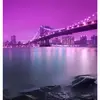 Rose_123 - @katiemiranda_123 - TikTok