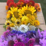 Katie Misner - @cultureinrural - Instagram