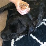 Katie Misner - @katie_misner - Instagram