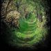 Kathie Mortenson - Facebook