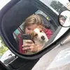 KatieMunoz - @luciuhamcky - TikTok