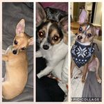 Katie.Nance.Daisy - @katie.nance.daisy - Instagram