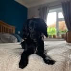 Katie Neale - Facebook