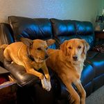 Katie Nell Takach - @k8tee78 - Instagram
