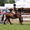 Katie Amelia - @katie_novax - TikTok