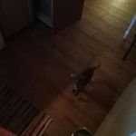 Katie null - @nullk12 - Instagram