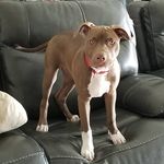 Katie O'Donnell - @clemomof2boys - Instagram