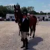 Katie O'Donnell Gharadaghian - @katie.odonnell.gh - TikTok