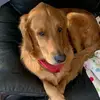 Katie Coffield - @kiki4946 - TikTok