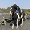 Katie Oliver - @katie.oliver1 - TikTok