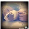 katieolivex - @katieolivex - TikTok