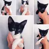 katieopperman518 - @katieopperman518 - TikTok