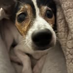 KR - @katieorme_priv - Instagram