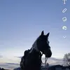 Katie Ormond - @katie.ormond1 - TikTok