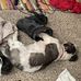 Katie Packheiser - Facebook