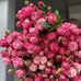 Catie Pai - Facebook