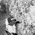 Cuttee Pappa - Facebook