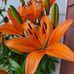 Katie Parrish - Facebook