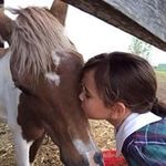 Katie Pascoe - @spicedequine - Instagram