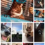 Becca - @katie_meg_patch - Instagram
